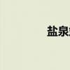 盐泉站（关于盐泉站介绍）