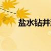 盐水钻井液（关于盐水钻井液介绍）