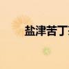 盐津苦丁茶（关于盐津苦丁茶介绍）