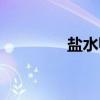 盐水鸭（关于盐水鸭介绍）