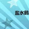 盐水鹅肉（关于盐水鹅肉介绍）