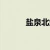 盐泉北站（关于盐泉北站介绍）