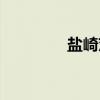 盐崎茨(关于盐崎茨介绍) 盐崎茨(关于盐崎茨介绍)