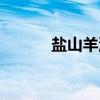 盐山羊汤（关于盐山羊汤介绍）