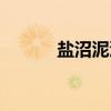盐沼泥漠(关于盐沼泥漠介绍) 盐沼泥漠(关于盐沼泥漠介绍)