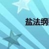 盐法纲要（关于盐法纲要介绍）
