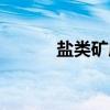 盐类矿床（关于盐类矿床介绍）