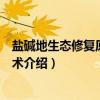 盐碱地生态修复原理与技术（关于盐碱地生态修复原理与技术介绍）