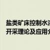 盐类矿床控制水溶开采理论及应用（关于盐类矿床控制水溶开采理论及应用介绍）
