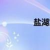 盐湖案（关于盐湖案介绍）