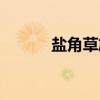 盐角草族（关于盐角草族介绍）