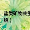 盐类矿物共生组合（关于盐类矿物共生组合介绍）