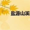 盐源山溪鲵（关于盐源山溪鲵介绍）