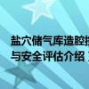 盐穴储气库造腔控制与安全评估（关于盐穴储气库造腔控制与安全评估介绍）