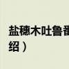 盐穗木吐鲁番个体（关于盐穗木吐鲁番个体介绍）
