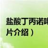 盐酸丁丙诺啡舌下片（关于盐酸丁丙诺啡舌下片介绍）