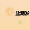 盐潮淤土（关于盐潮淤土介绍）