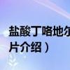 盐酸丁咯地尔缓释片（关于盐酸丁咯地尔缓释片介绍）