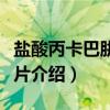 盐酸丙卡巴肼肠溶片（关于盐酸丙卡巴肼肠溶片介绍）