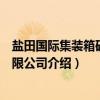 盐田国际集装箱码头有限公司（关于盐田国际集装箱码头有限公司介绍）