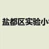 盐都区实验小学（关于盐都区实验小学介绍）