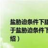 盐胁迫条件下甜高粱光抑制的PSII行为机制及应用研究（关于盐胁迫条件下甜高粱光抑制的PSII行为机制及应用研究介绍）