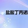 盐酸丁丙诺啡（关于盐酸丁丙诺啡介绍）