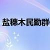 盐穗木民勤群体（关于盐穗木民勤群体介绍）
