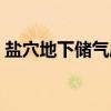 盐穴地下储气库（关于盐穴地下储气库介绍）
