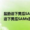 盐胁迫下黄瓜SAMs蛋白的表达定位与功能分析（关于盐胁迫下黄瓜SAMs蛋白的表达定位与功能分析介绍）