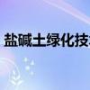 盐碱土绿化技术（关于盐碱土绿化技术介绍）