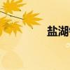 盐湖镇（关于盐湖镇介绍）