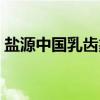 盐源中国乳齿象（关于盐源中国乳齿象介绍）