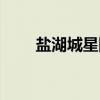 盐湖城星队（关于盐湖城星队介绍）