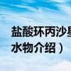 盐酸环丙沙星 一水物（关于盐酸环丙沙星 一水物介绍）
