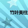 竹叶美柱兰（关于竹叶美柱兰介绍）