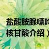 盐酸胺腺嘌呤二核甘酸（关于盐酸胺腺嘌呤二核甘酸介绍）