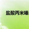 盐酸丙米嗪片（关于盐酸丙米嗪片介绍）