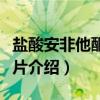 盐酸安非他酮缓释片（关于盐酸安非他酮缓释片介绍）