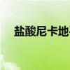 盐酸尼卡地平（关于盐酸尼卡地平介绍）