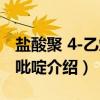 盐酸聚 4-乙烯基吡啶（关于盐酸聚 4-乙烯基吡啶介绍）