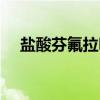 盐酸芬氟拉明（关于盐酸芬氟拉明介绍）