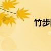 竹步国（关于竹步国介绍）