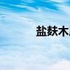 盐麸木属（关于盐麸木属介绍）