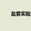 盐雾实验室（关于盐雾实验室介绍）