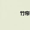 竹帘画（关于竹帘画介绍）
