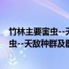 竹林主要害虫--天敌种群及群落属性研究（关于竹林主要害虫--天敌种群及群落属性研究介绍）