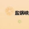 盐锅峡组（关于盐锅峡组介绍）