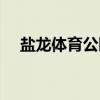 盐龙体育公园（关于盐龙体育公园介绍）