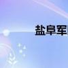 盐阜军区（关于盐阜军区介绍）